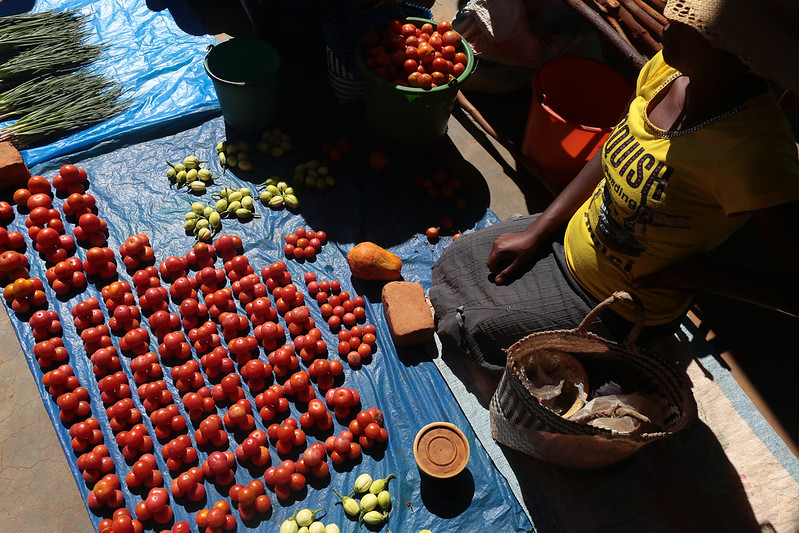 Día de la Alimentación: cuando lo que comemos contribuye a cuidar o destruir el planeta