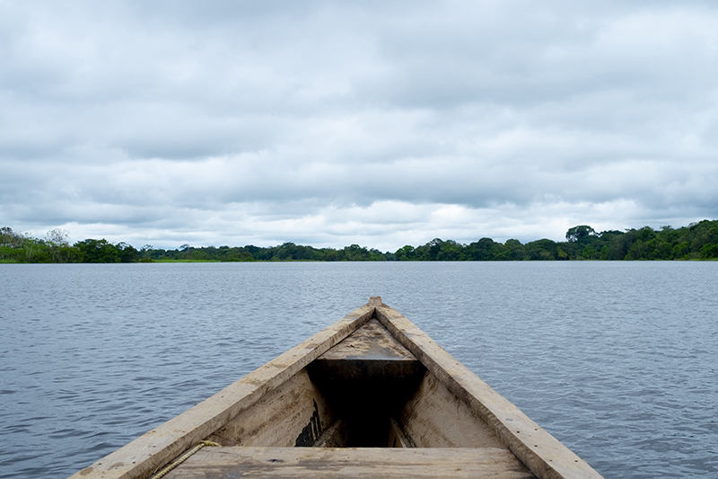 La Amazonía que nos llama