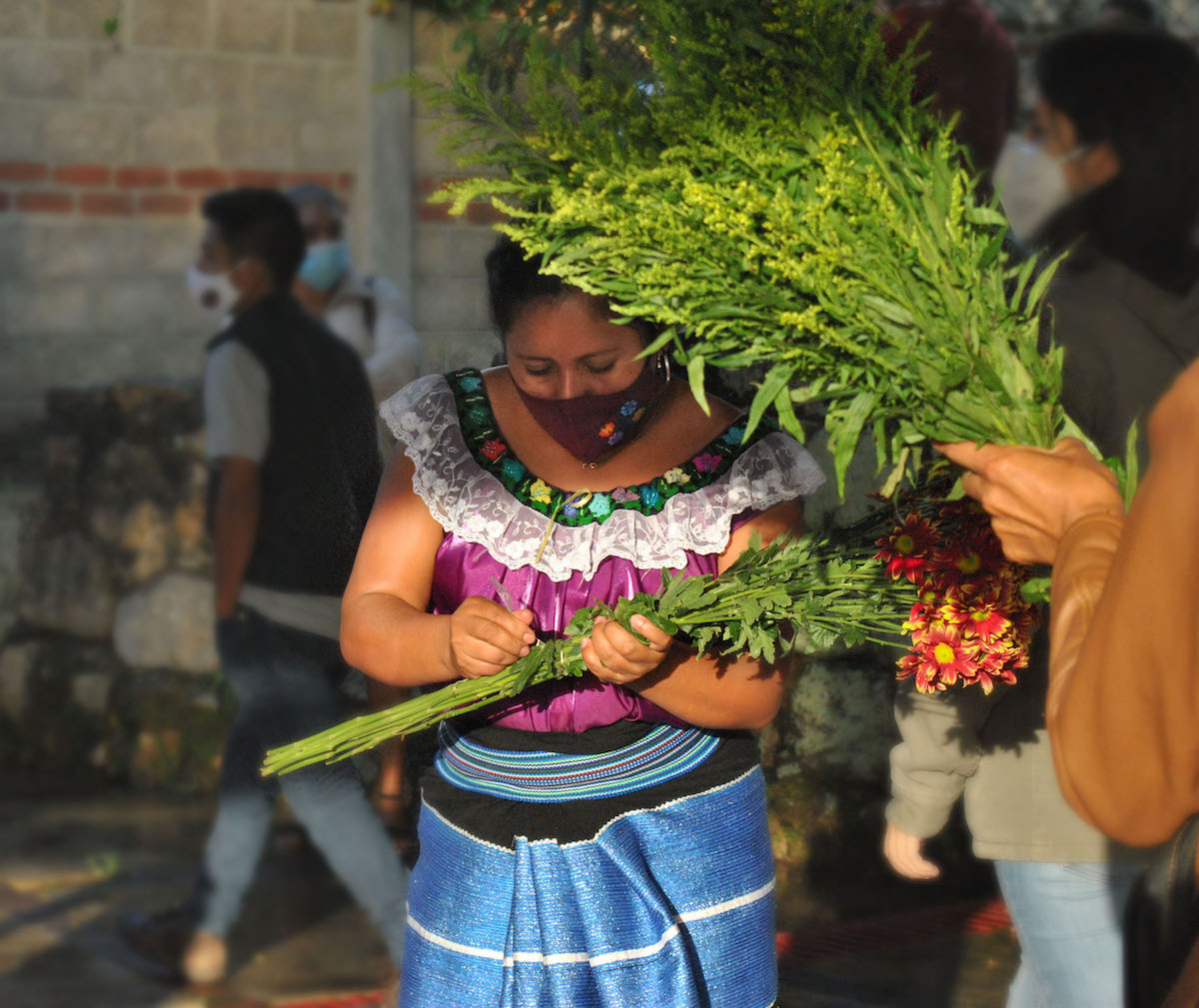 Xapontic: mujeres productoras en la selva norte de Chiapas