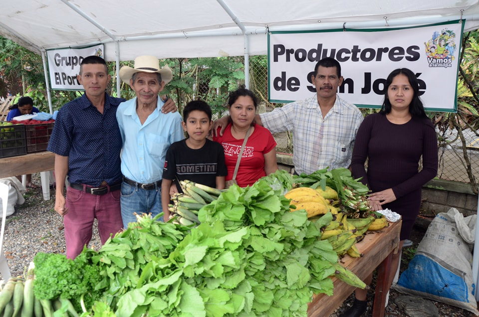 Feria agroecológica en Honduras: sembrando ciudadanía con soberanía alimentaria
