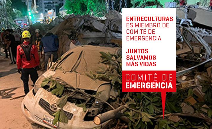 Venezuela comité de emergencia